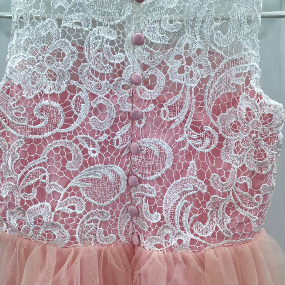 Pink Party Dress for a Princess! White Lace Tulle Ballgown Easter Flower Girl - Picture 9 of 15